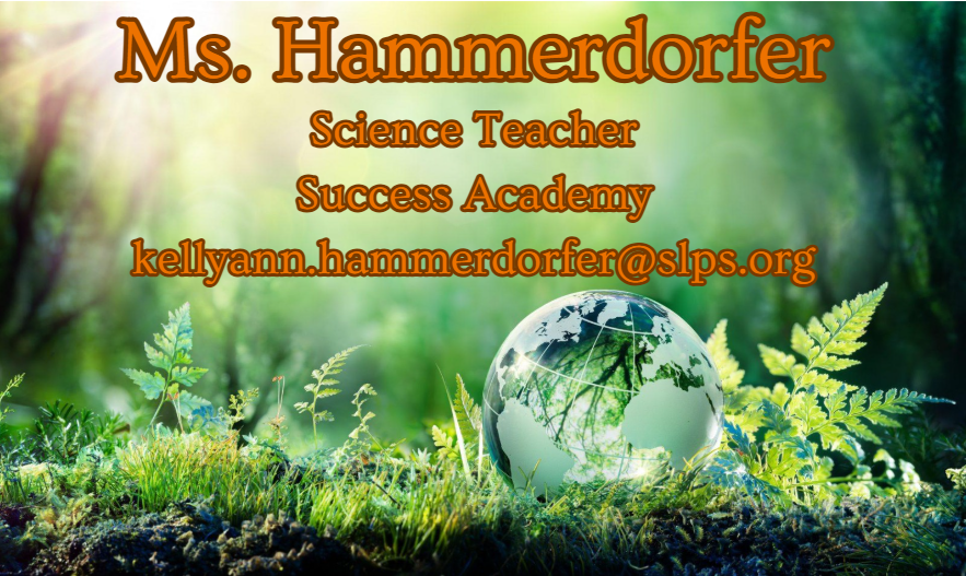 Hammerdorfer